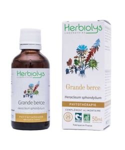 Herbiolys PHYTO Grande berce 50mL BIO - Heracleum spondylium BIO, 50 ml